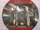 U2 Unforgettable Fire Picture Disc