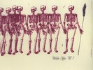Wooden Shjips - Volume 1 (Vinyl LP - 2008 - US - Original)