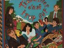 Polo Hofer & Die SchmetterBand Travailler CEst Trop Dur NEAR MINT 2xVinyl LP