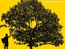 In Between Dreams - Jack Johnson (2005, Vinyl NEW)
