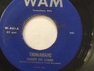 RARE OHIO GARAGE PSYCH FUNK 45/ RONNIE LEE COMBO 