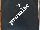 PROMISE S/T LP Colorado private press power pop 1980 Cumulus Acid Archive