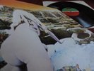 LED ZEPPELIN  ? HOUSES OF THE HOLY ? WIE NEU  ORIGINAL ATLANTIC PRESSUNG FOC