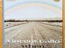 Vincent Gallo - 'When' Original 2001 Vinyl LP Warp Records
