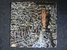 SIOUXSIE AND THE BANSHEES - JUJU *Rare  LP VINYL