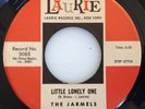 NM- DOO WOP 45 / THE JARMELS / LITTLE LONELY ONE / SHE LOVES TO DANCE / LAURIE