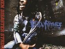 BUSTA RHYMES**WHEN DISASTER STRIKES...(ADVISORY)**2 VINYL SET