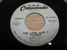 RARE NORTHERN SOUL 45. PROMO-RICHARD CAITON-YOU LOOK LIKE A FLOWER/G.N.P. 327