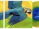 Serato Performance Control Vinyl (Pair) - Brazil Edition