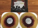 Fall Out Boy From Under Cork Tree 2 LP Limited Color Vinyl Gold Maroon Emo Pre