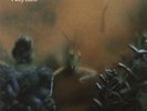 Steely Dan - Katy Lied - LP von 1975