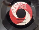 THE TRESPASSERS LIVING MEMORIES/COME WITH ME MOD/FUZZ/PSYCH/GARAGE SILVER SEAL