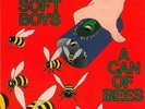 Soft Boys - Can Of Bees [Vinyl New]