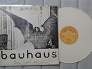 Bauhaus Bela Lugosi's Dead 12