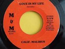 CALIF. MALIBUS 