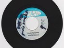 JUNIOR MURVIN - FALSE TEACHING - WILD FLOWER ( ROOTS REGGAE 7 ) LEE PERRY