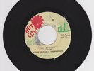 VIVIAN JACKSON & PROPHETS - JAH VENGENCE - HOT CITY ( ROOTS REGGAE 7 )