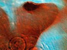 PINK FLOYD   MEDDLE (2016)   180gsm REMASTERED VINYL LP   *NEW AND SEALED*