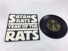 SATANS RATS *YEAR OF THE RATS* VERY RARE 1978 7 INCH + PICTURE SLEEVE