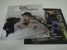 The Divine Comedy ?– Bang Goes The Knighthood ltd ed lp from 2010 - DCRL101LP