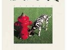 Rush-Signals  (US IMPORT)  Vinyl / 12