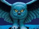 Rush-Fly By Night  (US IMPORT)  Vinyl / 12