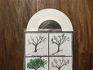 Mad Season - Locomotive - White Vinyl 7