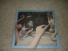 The Chameleons UK Excellent