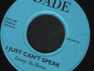 Northern JIMMY BO HORNE I Just Can't Speak US DADE