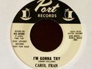 CAROL FRAN Northern Soul 45 I'M GONNA TRY  Port (original)