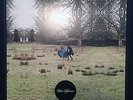 Loose Tapestries Luxury Comedy Tapes vinyl record Noel Fielding RARE LP Kasabian