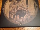 Bastard Sapling Instinct Is Forever Lp Red/Clear Wax Rare