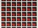 DUNGEN-4  VINYL LP NEUF