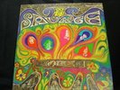 PSYCH FIRST PRESSING The Savage Resurrection Mercury 61156 Self Titled