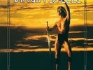 VIRGIN STEELE - Noble Savage [Re-Release 2-LP] (DLP)