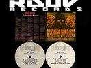 BIG PUN - ENDANGERED SPECIES - 2 LP 12