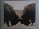 U2 - Best of 1990-2000 2xLP Island Records U213/063 361-1 - ***RARE*** MINT