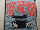The Blizzards    I'm Your Guy