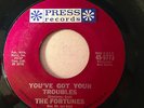 The Fortunes / You've Got Your Troubles / NM+ 45 Monarch pressing