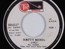 Reggae 45 U-ROY Natty Rebel TR GROOVEMASTER HEAR