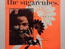 The Sugarcubes Birthday Original UK Vinyl Record P/S 1987 7