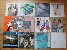 13x Vinyl Indie Morrissey John Cale Chicks on Speed Anne Clark The Police