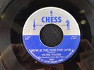 Rare Rockabilly 45   Wayne Walker   Chess   Hear 