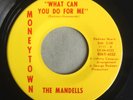 THE MANDELLS What Can You Do For Me MONEYTOWN 4522 Group/Northern Soul 45rpm