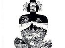 FLOWER TRAVELLIN' BAND - SATORI  VINYL LP NEW+