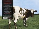 PINK FLOYD - ATOM HEART MOTHER 2016 EDITION 180 G VINYL LP NEU & OVP