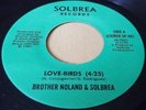 BROTHER NOLAND & SOLBREA – LOVEBIRDS Hawaii Hawaiian Funk Soul 45 rpm
