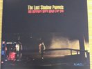 THE LAST SHADOW PUPPETS MY MISTAKES WERE MADE FOR YOU - 7