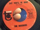 Rare Northern Soul- The Rosebuds  