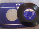 ROG (ROGER) WHITTAKER -JENNY'S GONE rare UK 1964 / ROCKABILLY / ROCKER / MINT-